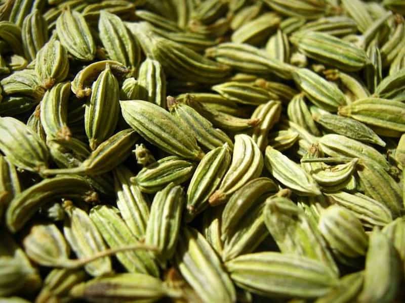زیره سبز کوهی دانه درشت و مرغوب